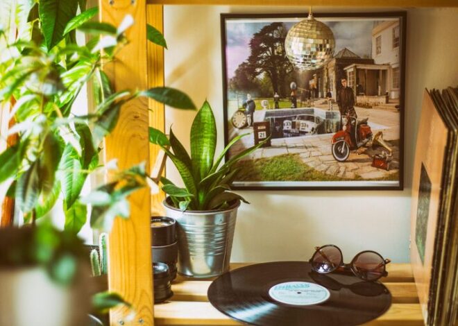 How to Refresh Your Home with Plants