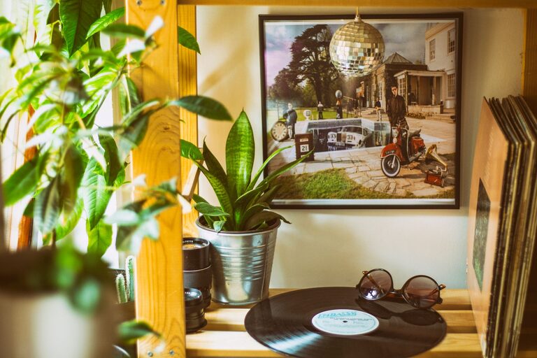 How to Refresh Your Home with Plants
